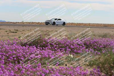 media/Jan-08-2023-SCCA SD (Sun) [[8f6a5b9391]]/Advanced Group/Session 2 (Short Straight)/